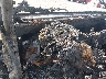 1C6HJTAG0NL****** Salvage 2022 Jeep Gladiator in Little Rock