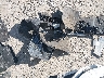 4T1G11AKXPU****** Wrecked 2023 Toyota Camry in Ohio State