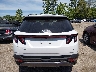 5NMJE3AE0NH****** Destrozados 2022 Hyundai Tucson