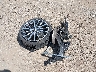 WBA73AK02M7****** Wrecked 2021 BMW 2 Series in California State