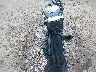 WB10P2305S6****** Salvamento y Reparables 2025 BMW S 1000 en Estado de Virginia
