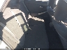 JTDKN3DU7B0****** Destrozados 2011 Toyota Prius en Long Island