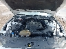 1FA6P8TH2L5****** Reparables 2020 Ford Mustang en Dallas