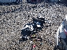 1G1ZD5ST1NF****** Destrozados 2022 Chevrolet Malibu en Estado de Massachusetts