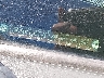 2HGFG12618H****** Used 2008 Honda Civic in Concord