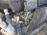 1B7GG46N22S****** Usados y Reparables 2002 Dodge Dakota en Buckhannon