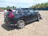 2HKRS4H42TH****** Salvamento y Destrozados 2026 Honda CR-V en Estado de Indiana