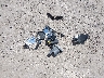 ZACCJBBB7JP****** Wrecked 2018 Jeep Renegade in New York State