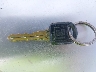 3G5DA03L17S****** Salvamento 2007 Buick Rendezvous en Estado de Kansas
