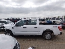 1FTFW1E83PK****** Salvage 2023 Ford F-150