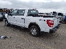 1FTFW1E83PK****** Salvage and Repairable 2023 Ford F-150 in Denver East