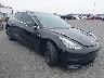 5YJ3E1EA6LF****** Salvamento y Destrozados 2020 Tesla Model 3 en Los Angeles
