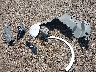 1GYKNCRS2RZ****** Wrecked 2024 Cadillac XT5 in Texas State
