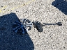 2T3BFREV4GW****** Wrecked 2016 Toyota RAV4 in Maine State