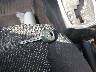 VNKKTUD33FA****** Salvage 2015 Toyota Yaris in Missouri State