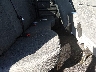 1C6RR6FT8HS****** Wrecked 2017 RAM 1500 in Greenville