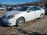 JTHBK1EG7B2****** Used and Repairable 2011 Lexus ES 350 in Chicago North