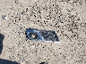 1GNKRGKD0HJ****** Wrecked 2017 Chevrolet Traverse in Georgia State