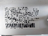 5FNYF6H00MB****** Used 2021 Honda Pilot in North Hollywood
