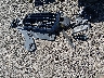WA1VAAF70JD****** Wrecked 2018 Audi Q7 in South Carolina State