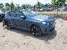5UX53GP08S9****** Salvamento y Destrozados 2025 BMW X3 en Culpeper