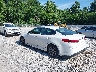 5XXGT4L39LG****** Salvage and Repairable 2020 Kia Optima in Paducah