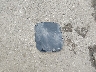 1N4BL4BV5LC****** Wrecked 2020 Nissan Altima in Kansas State