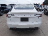 5YJ3E1EAXTF****** Destrozados 2026 Tesla Model 3