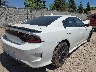 2C3CDXHG6MH****** Salvamento y Destrozados 2021 Dodge Charger en Estado de Wisconsin