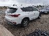 5NMS33AD3LH****** Salvage and Wrecked 2020 Hyundai Santa Fe in New Mexico State