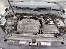 3VV1B7AX3LM****** Reparables 2020 Volkswagen Tiguan en El Paso