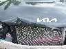 5XYRLDJC1RG****** Salvage and Wrecked 2024 Kia Sorento in Portage
