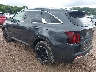5XYRLDJC1RG****** Salvage and Repairable 2024 Kia Sorento in Portage