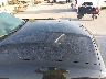 2C3CDZAGXKH****** Repairable 2019 Dodge Challenger