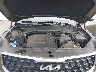 5XYP5DGC1PG****** Repairable 2023 Kia Telluride in Portland