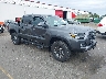 3TMCZ5AN7PM****** Salvamento y Destrozados 2023 Toyota Tacoma en Portland