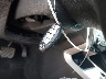 1N4AL3AP4FN****** Salvage 2015 Nissan Altima in Texas State