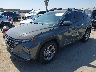 5NMJB3DE9RH****** Usados y Reparables 2024 Hyundai Tucson en North Hollywood