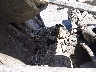 2HGFA15528H****** Used and Repairable 2008 Honda Civic in California State