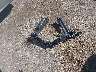 KMHLS4AG2PU****** Wrecked 2023 Hyundai Elantra in Ohio State