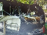 5ZT2SBRB0MS****** Repairable 2021 Coachmen Other in Hartford