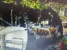 5ZT2SBRB0MS****** Salvage and Repairable 2021 Coachmen Other in Connecticut State