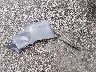 1G1PC5SB9F7****** Destrozados 2015 Chevrolet Cruze en Estado de Luisiana