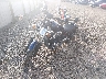 JH2SC6123KK****** Used and Repairable 2019 Honda Fury in Lafayette