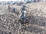 JH2SC6123KK****** Used and Repairable 2019 Honda Fury in Louisiana State