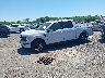 1FTFW1E89NK****** Usados y Reparables 2022 Ford F-150 en Elkton