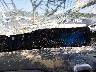 1FMJU1M86SE****** Salvage 2025 Ford Expedition in Dream Rides