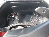1FTFW1RG2LF****** Salvage 2020 Ford F-150 in Dream Rides