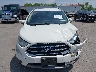 MAJ6P1WL1JC****** Wrecked 2018 Ford Ecosport in New York State