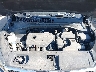 5XYPG4A31HG****** Reparables 2017 Kia Sorento en Indianapolis
